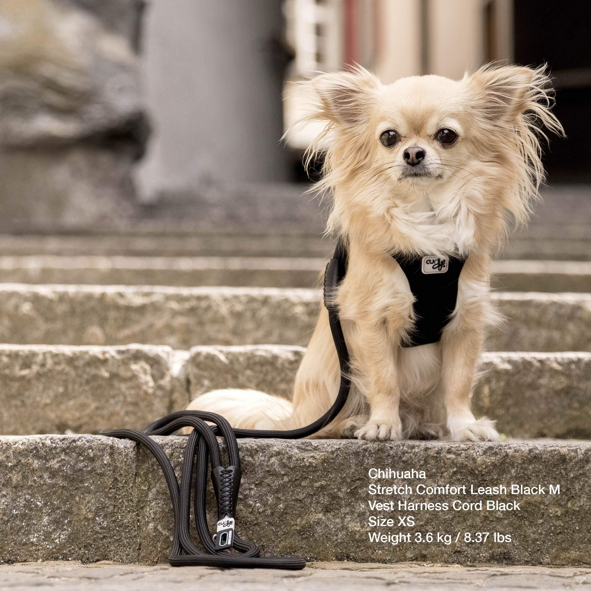 Curli Stretch Comfort Dog Leash - Tan - Large - Image 4