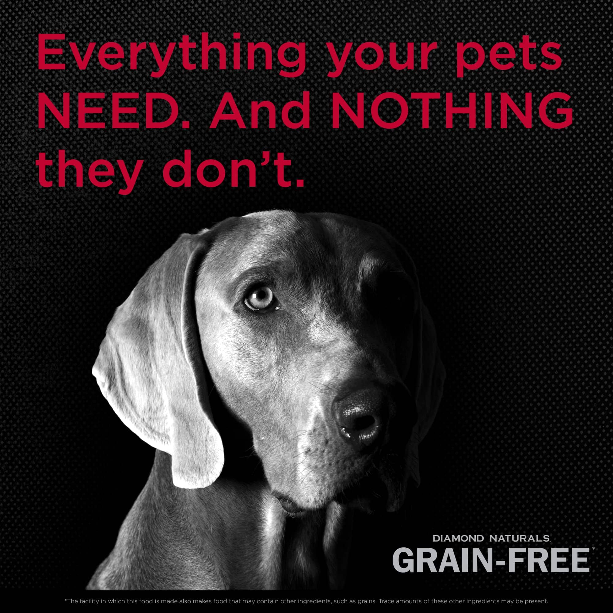 Diamond Naturals Grain-Free Beef with Sweet Potato Dry Dog Food - 28 Lbs - Image 4