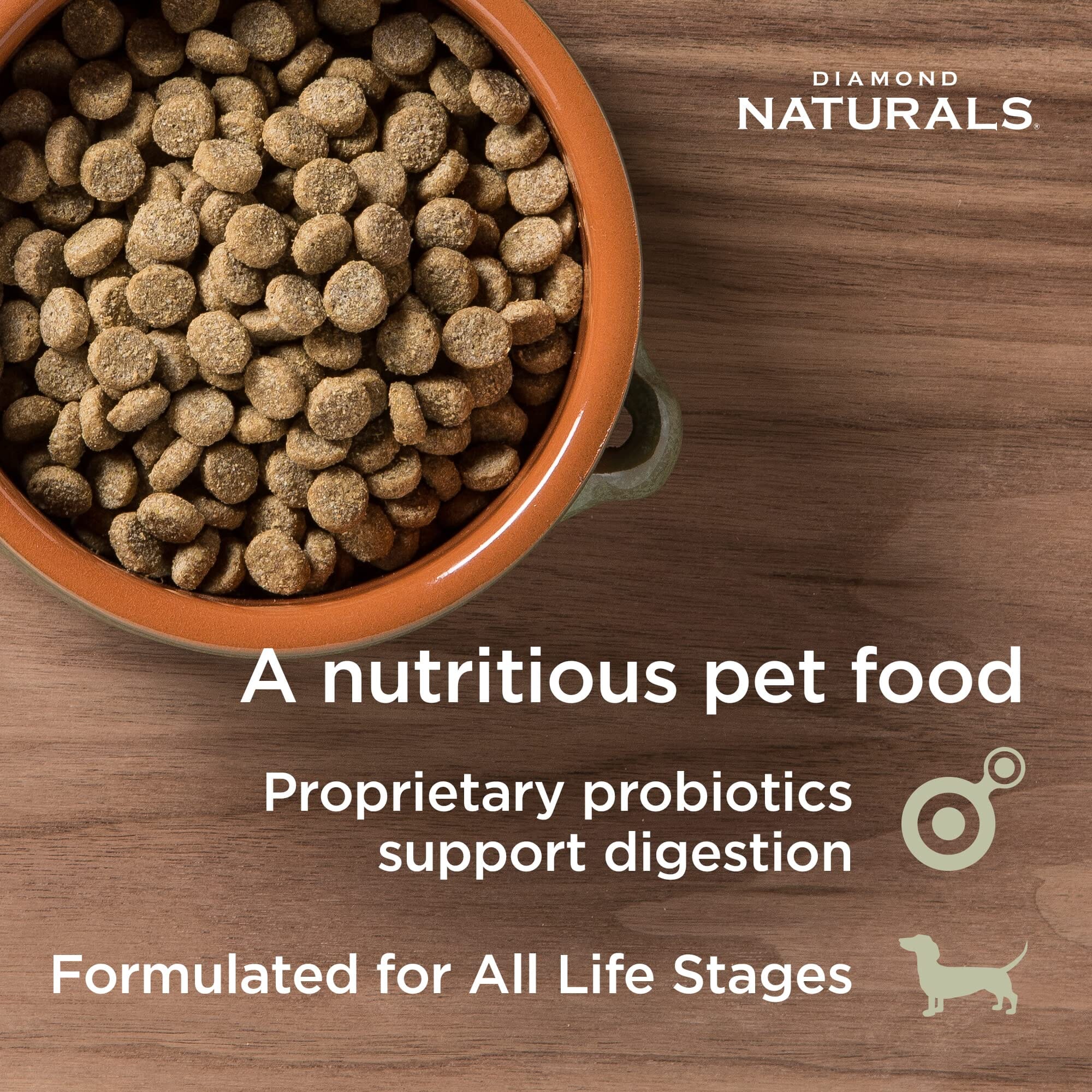Diamond Naturals Real Meat Skin and Coat Formula with Wild Caught Salmon Dry Dog Food - 30 Lbs - Image 2