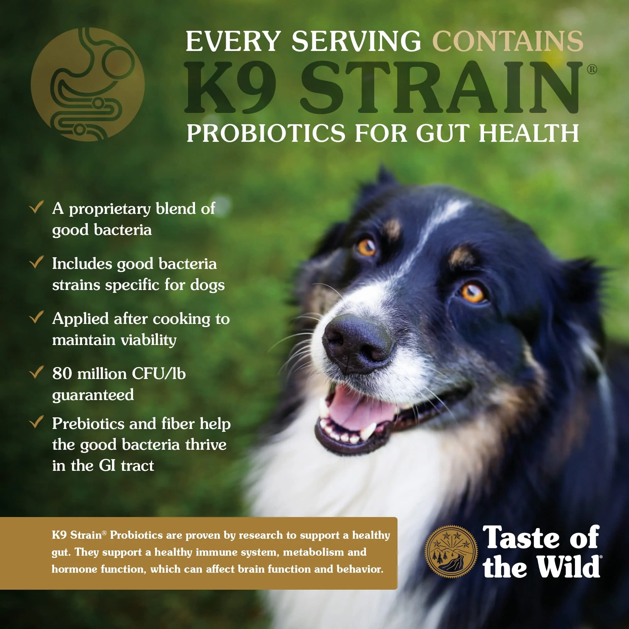 Diamond Pet Foods Taste of the Wild Bison and Venison High Prairie Puppy Dry Dog Food - Image 3