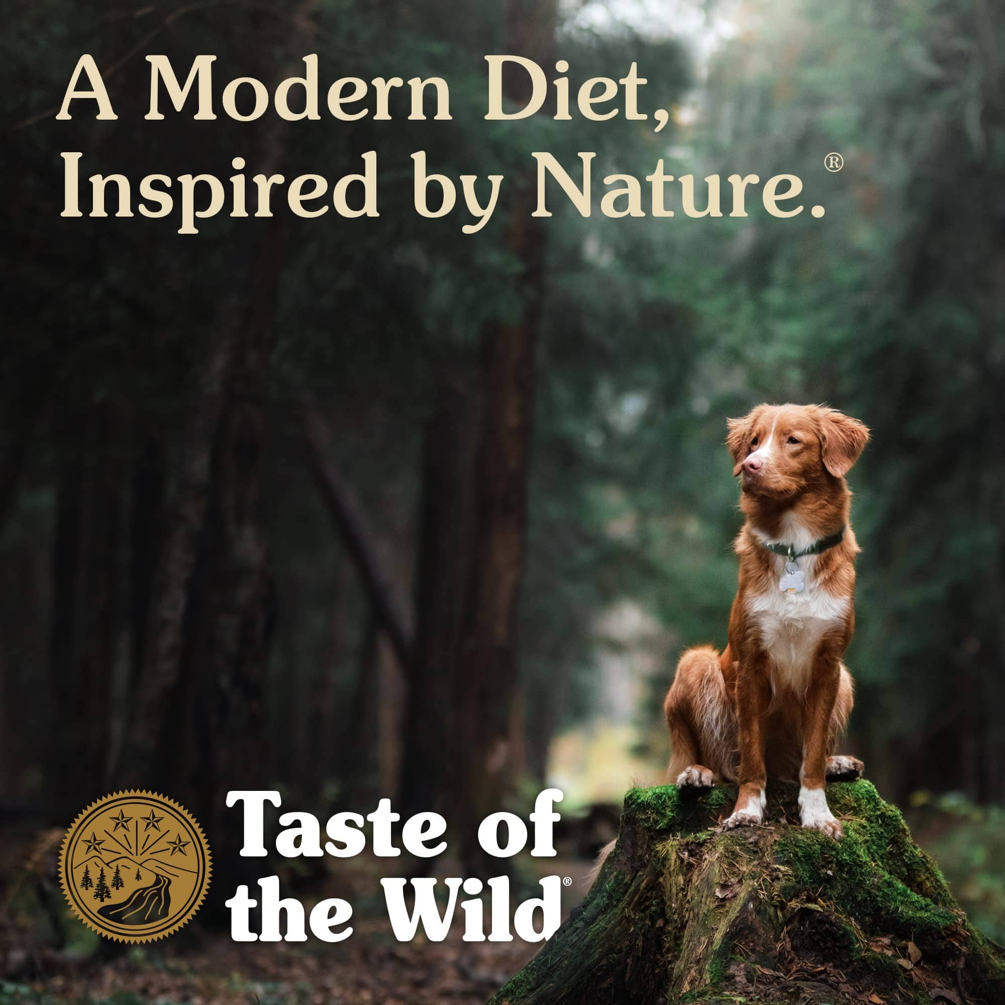 Diamond Pet Foods Taste of the Wild Bison and Venison High Prairie Puppy Dry Dog Food - Image 4