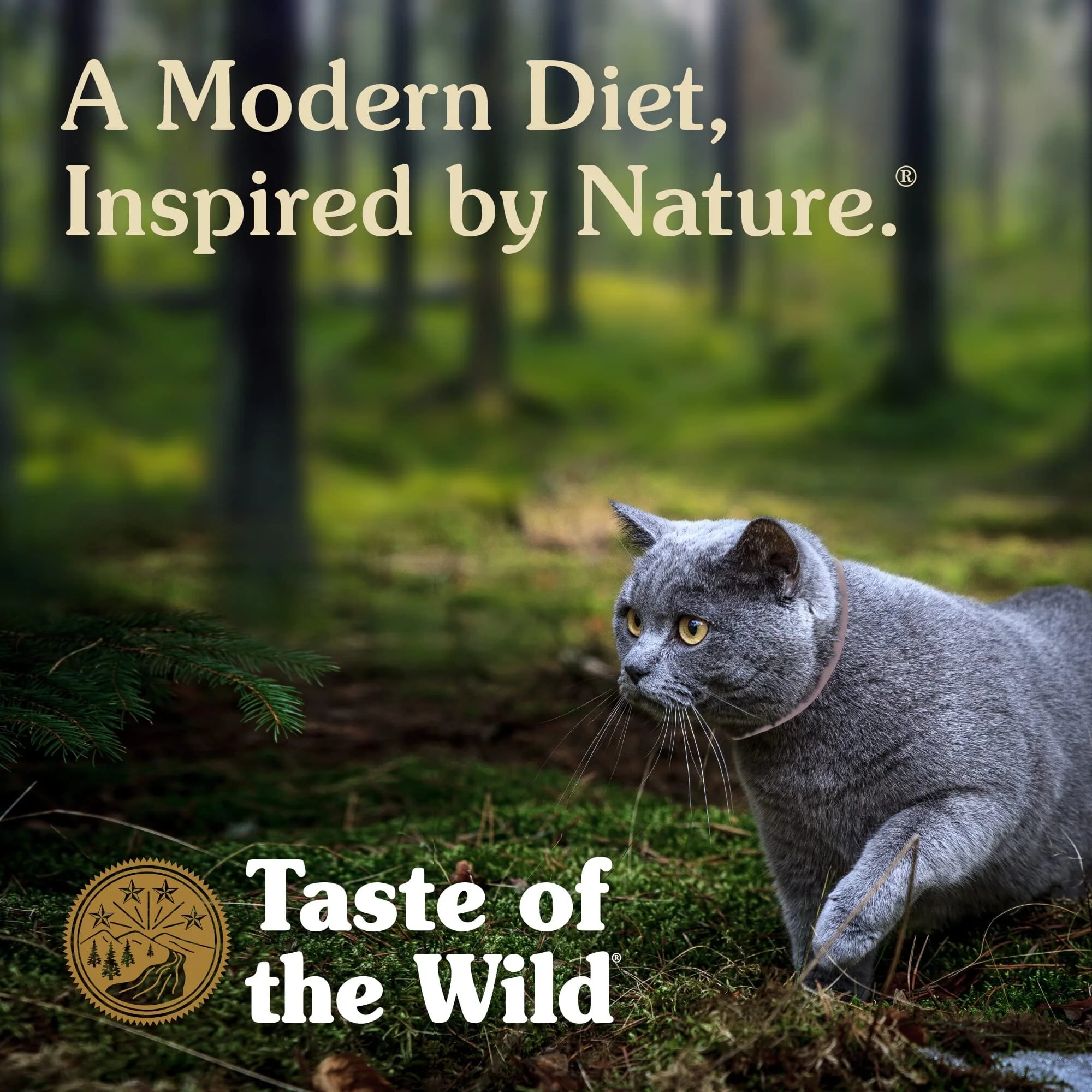 Diamond Pet Foods Taste of the Wild Grain-Free Rocky Mountain Salmon and Venison in Gravy Canned Cat Food - 5.5 Oz - Case of 24 - Image 3