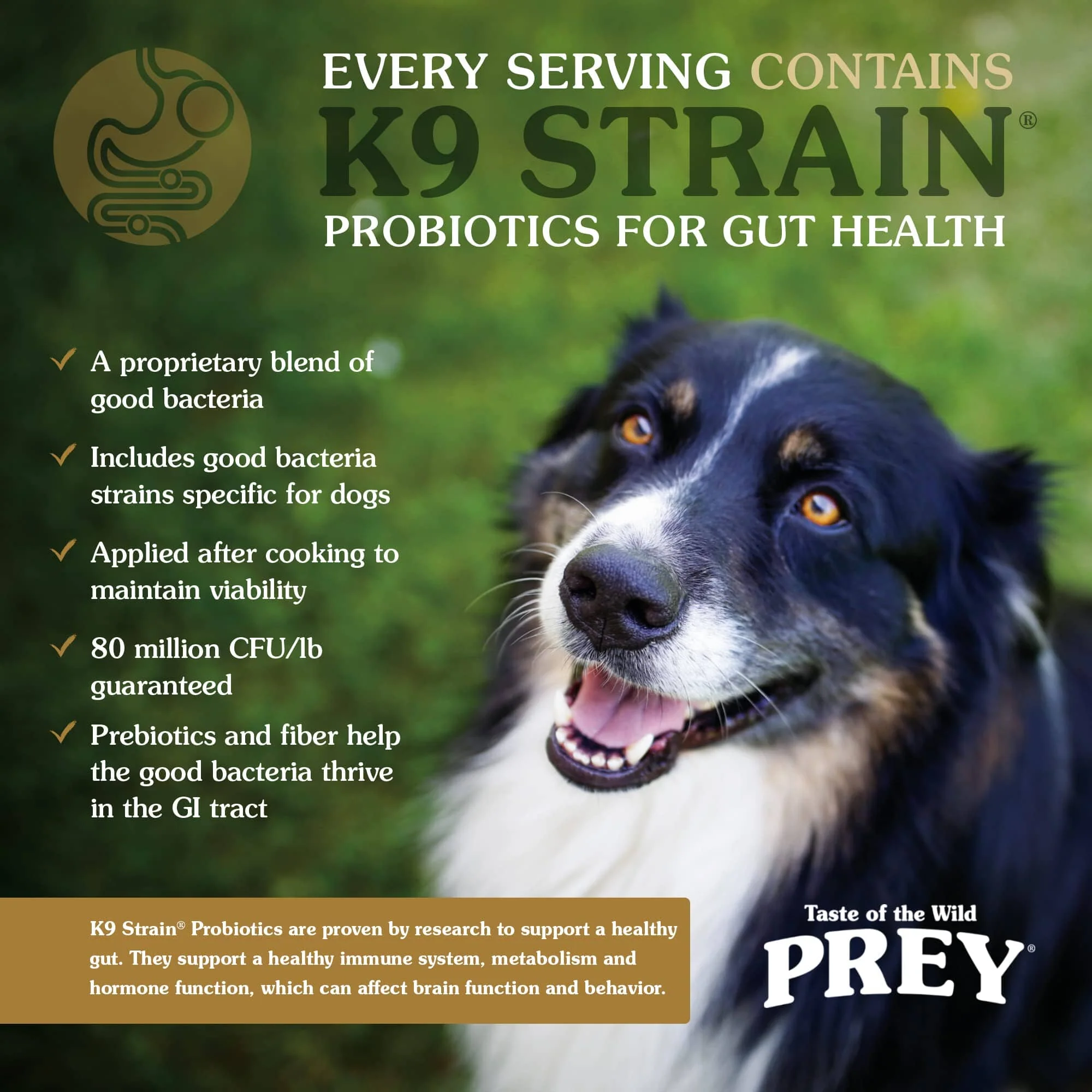 Diamond Pet Foods Taste of the Wild Prey Grain-Free and Limited Ingredient Diet Trout Dry Dog Food - 25 Lbs - Image 5