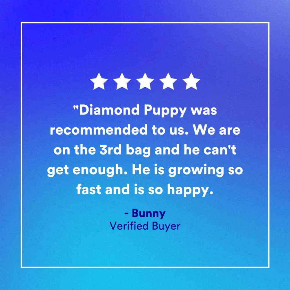 Diamond Puppy Dry Food - Image 2