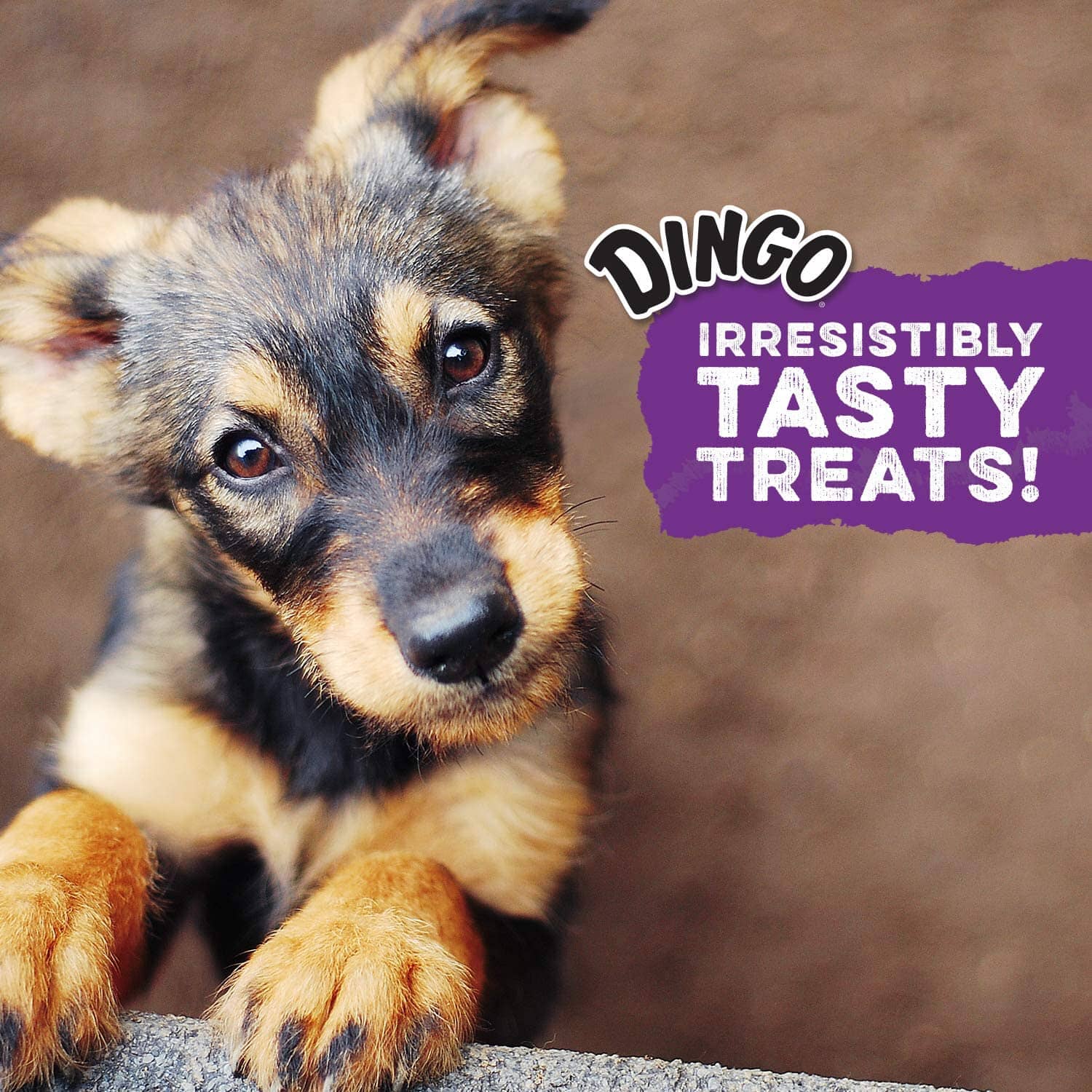 Dingo Dynostix Natural Dog Chews - Chicken - Small - 10 Pack - Image 2