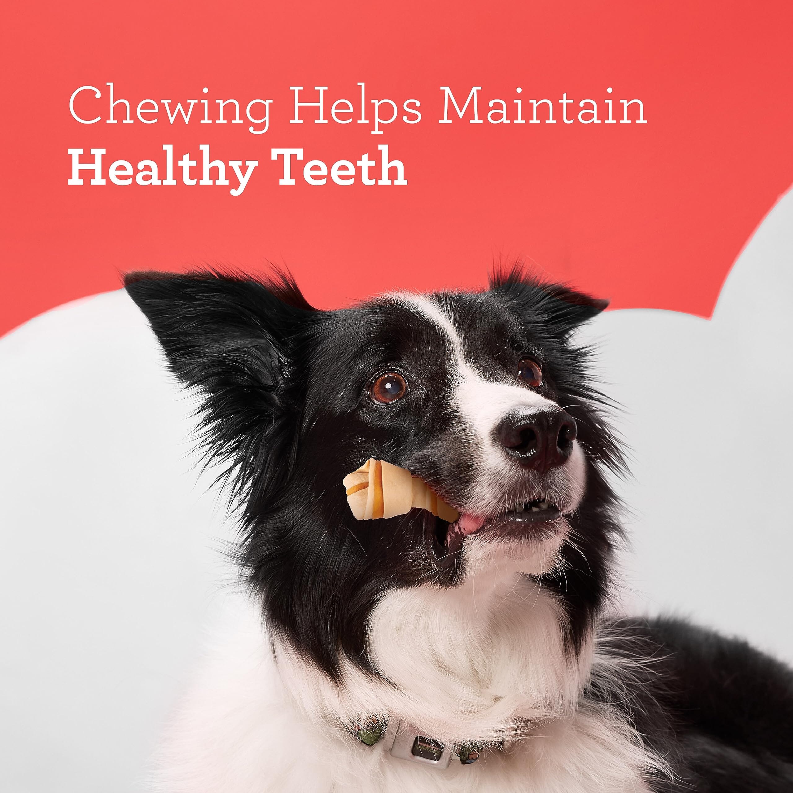 Dreambone Chicken and Sweet Potato Natural Dog Chews - Mini - 24 Pack - Image 5