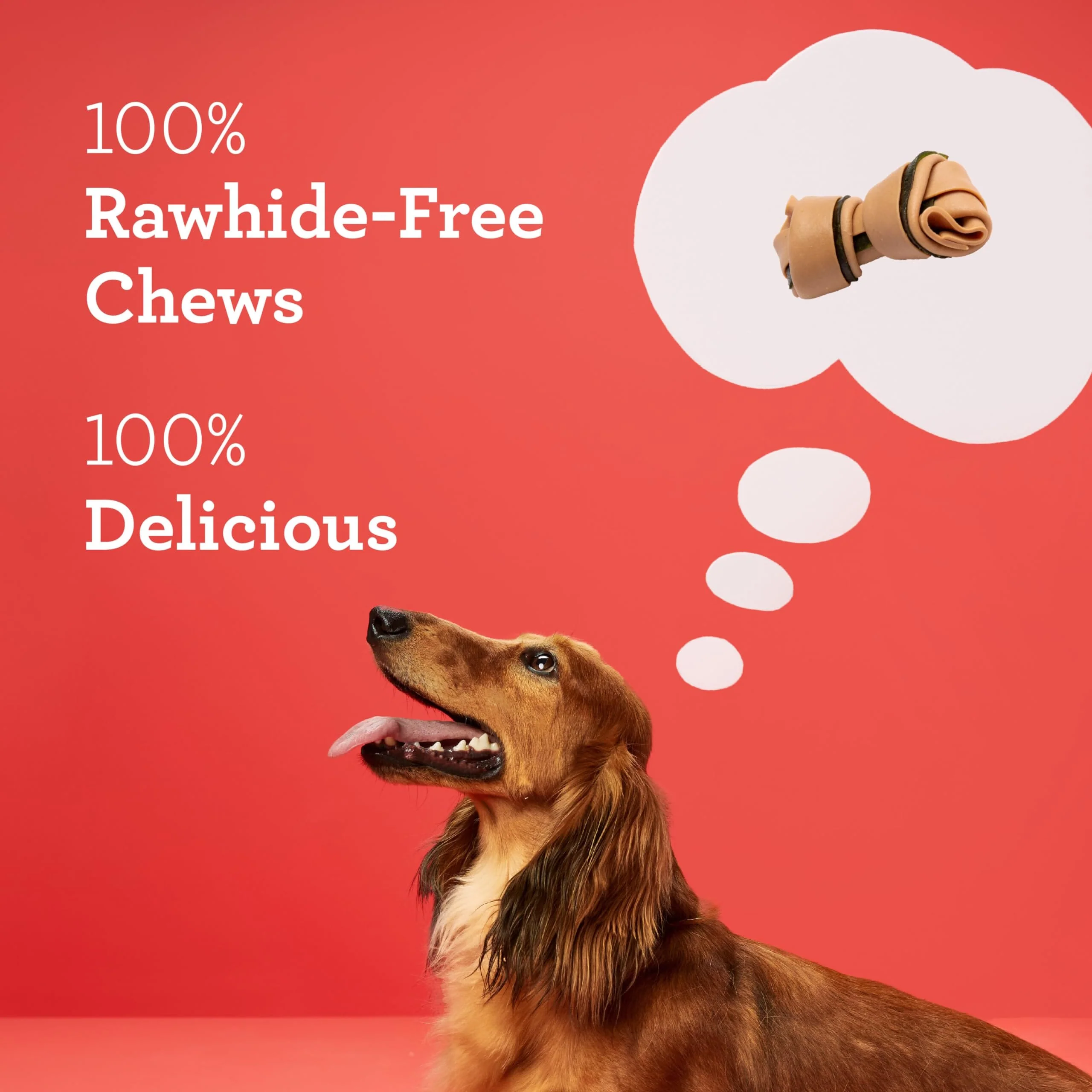 Dreambone Dental Dog Chew Treats - Mini - 16 Pack - Image 3
