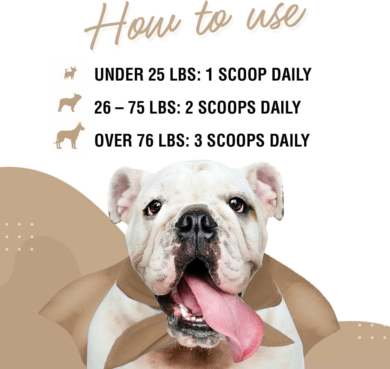 Earth Buddy Allergy and Immune Support Mushroom Powder Cat and Dog Supplements - 2.6 Oz - Image 4