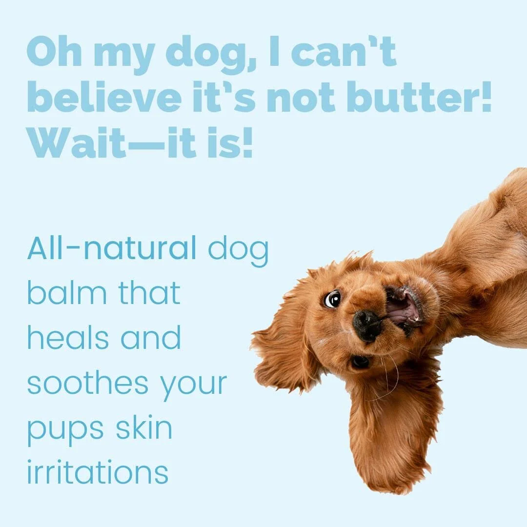 Earth Buddy Paw and Skin Health Balm - 125MG - Image 2