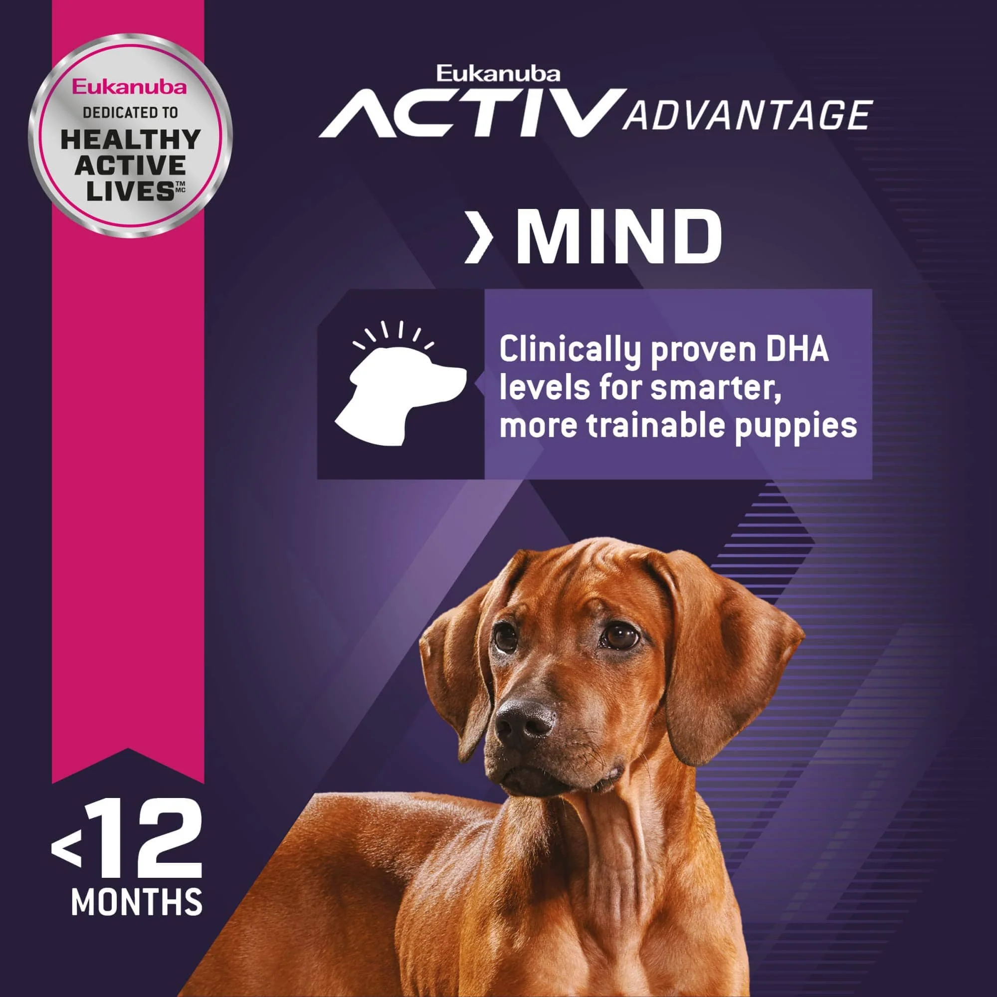 Eukanuba Chicken Activ Advantage Large-Breed Puppy Formula Dry Dog Food - 4.5 Lbs - Image 5