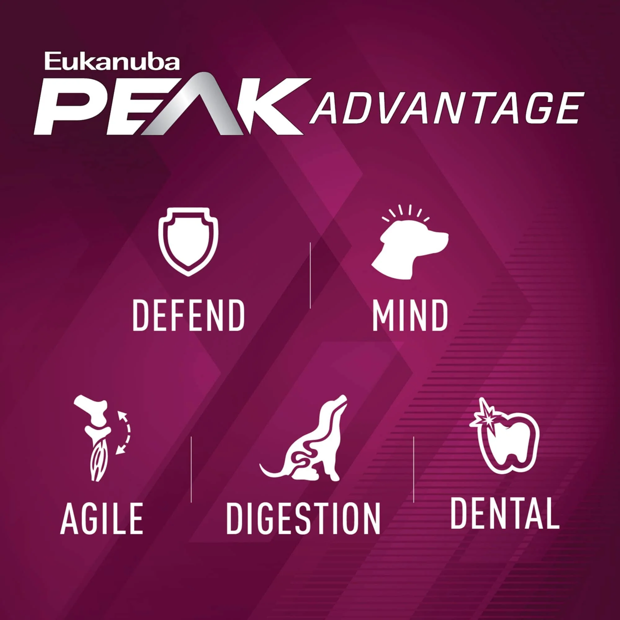 Eukanuba Premium Performance 26/16 Exercise Dry Dog Food - 28 Lbs - Image 5