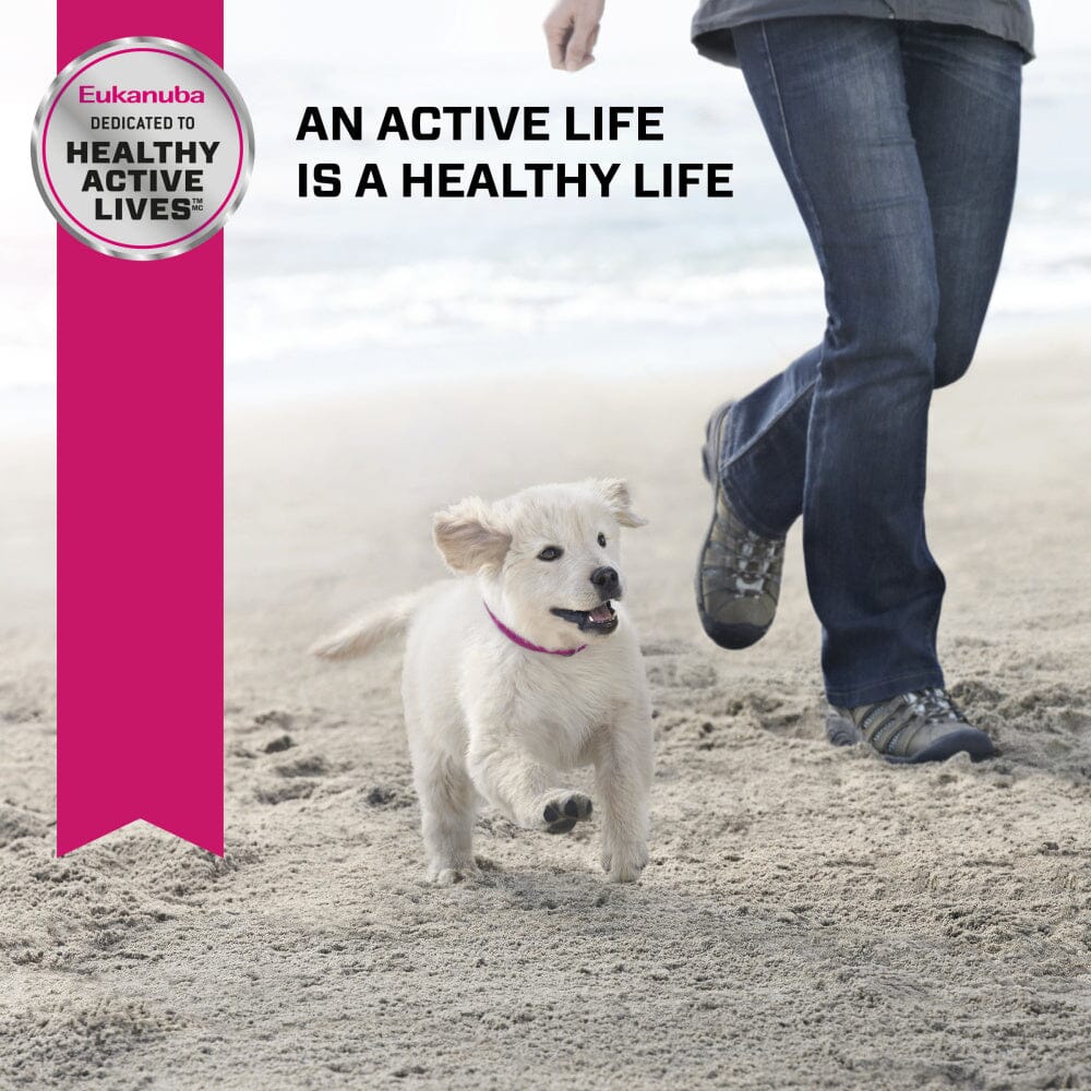Eukanuba Puppy Early Advantage Chicken Formula Dry Dog Food - Image 4