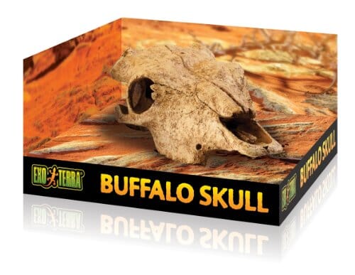 Exo Terra Buffalo Skull Aquarium and Terrarium Décor - Image 2