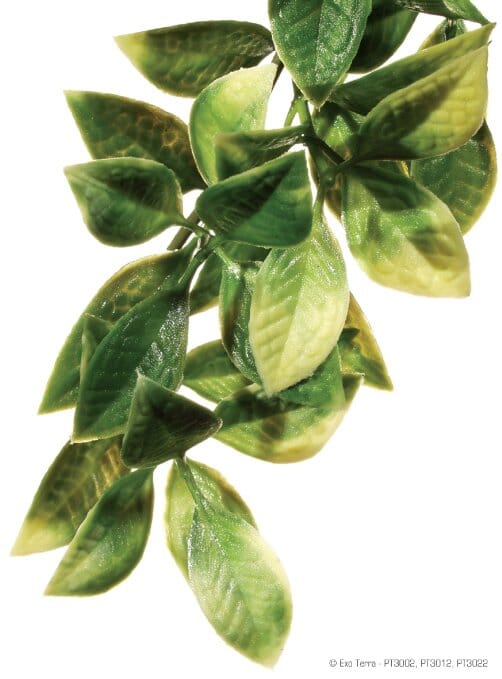 Exo Terra Jungle Mandarin Plastic Reptile Terrarium Plant - Image 2