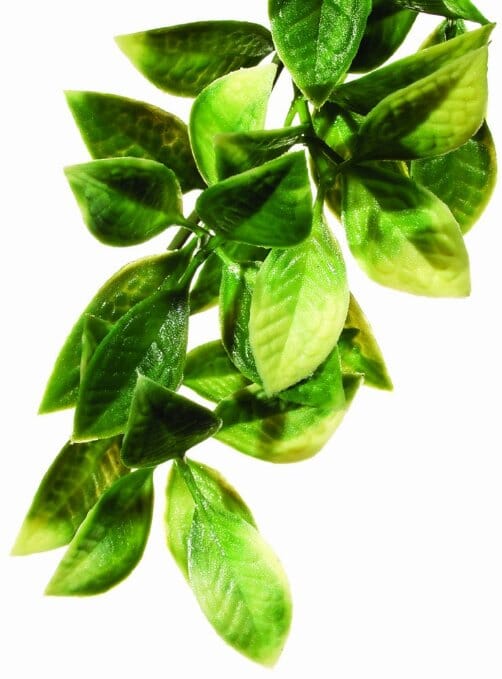 Exo Terra Jungle Mandarin Plastic Reptile Terrarium Plant - Image 3