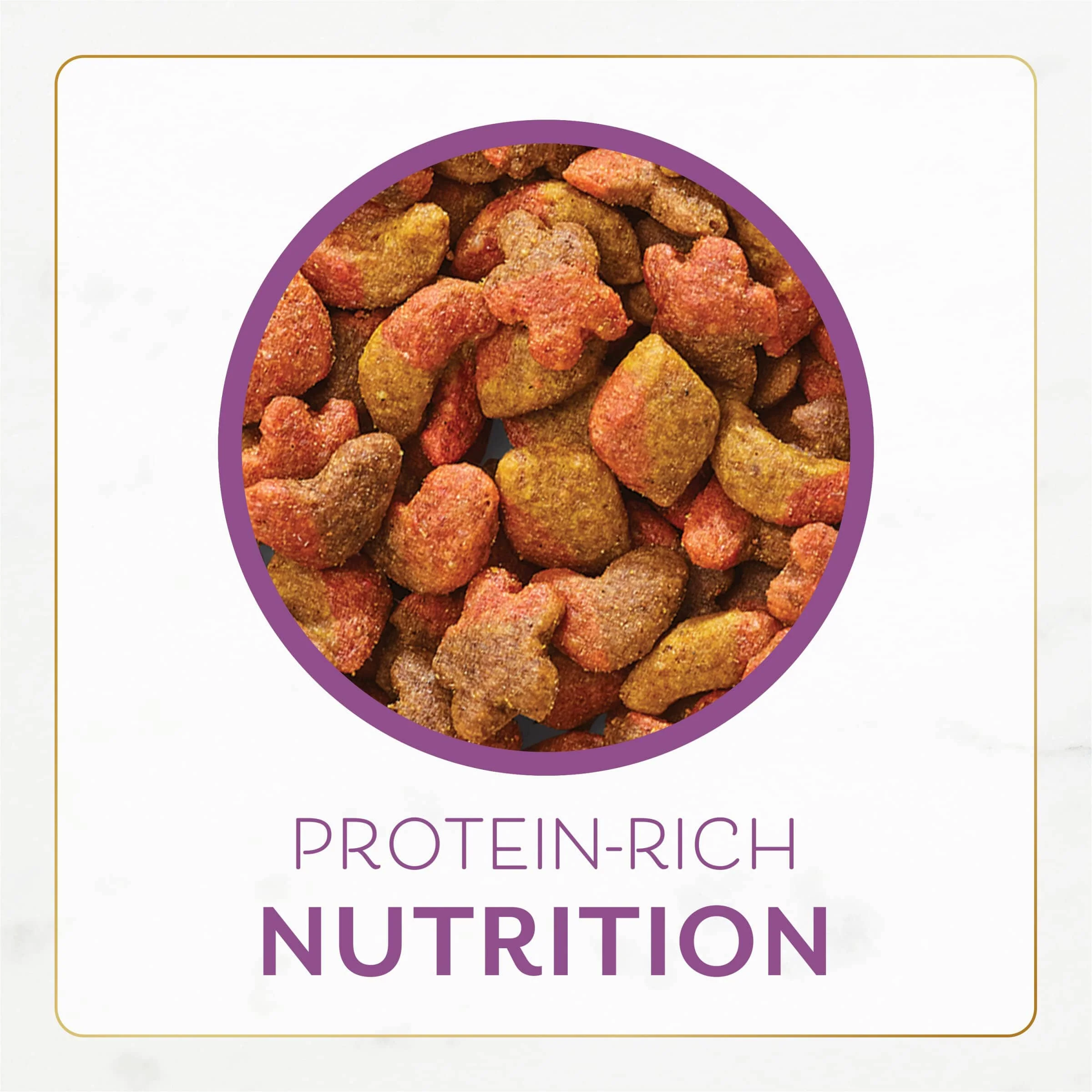 Fancy Feast Gourmet Savory Chicken and Turkey Gourmet Dry Cat Food - Image 8
