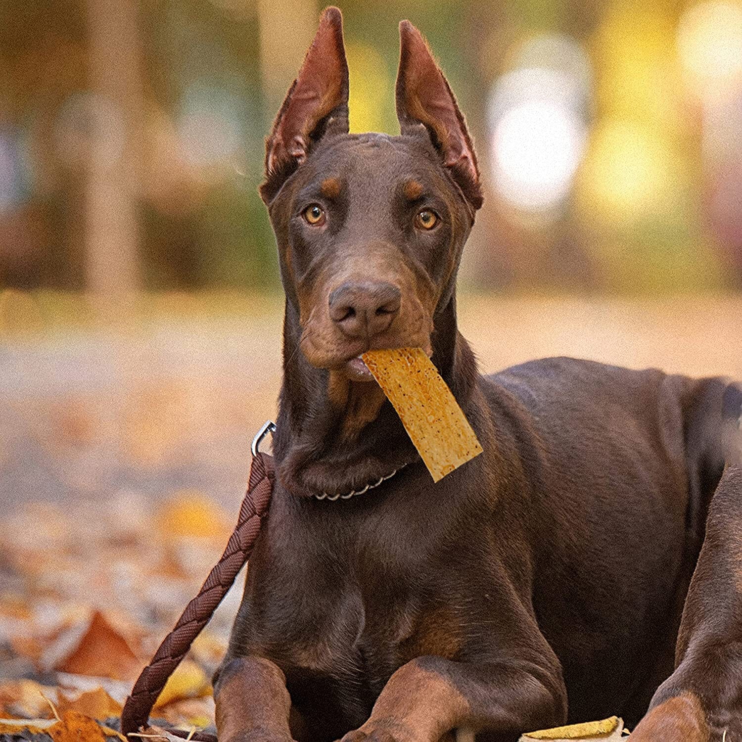 Fieldcrest Farms Nothin' To Hide Rawhide Alternative Flip Chips Natural Dog Chews - Peanut Butter - 8 Pack - Image 7