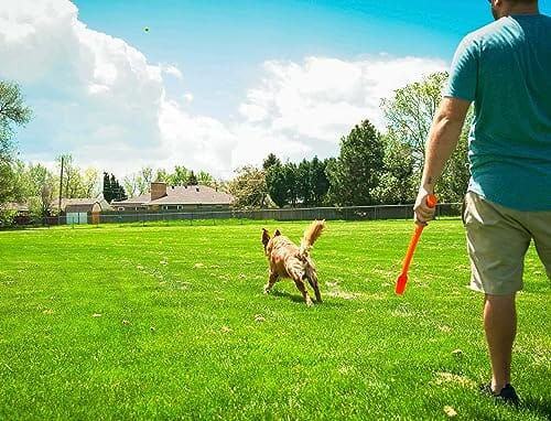Flingerz Fling and Fetch Launcher Interactive Dog Toy with Nylon Squeaking Lady Bug - Image 2