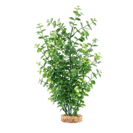 Fluval AquaLife Green Bacopa Plastic Plant Aquarium Décor