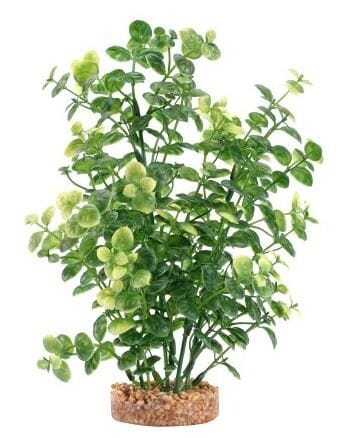 Fluval AquaLife Green Bacopa Plastic Plant Aquarium Décor - Image 2