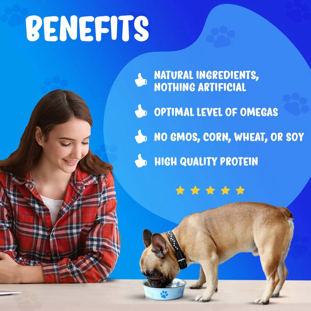 Forza10 Nutraceutic Actiwet Digestive Support Icelandic Fish Recipe Wet Dog Food - Image 2
