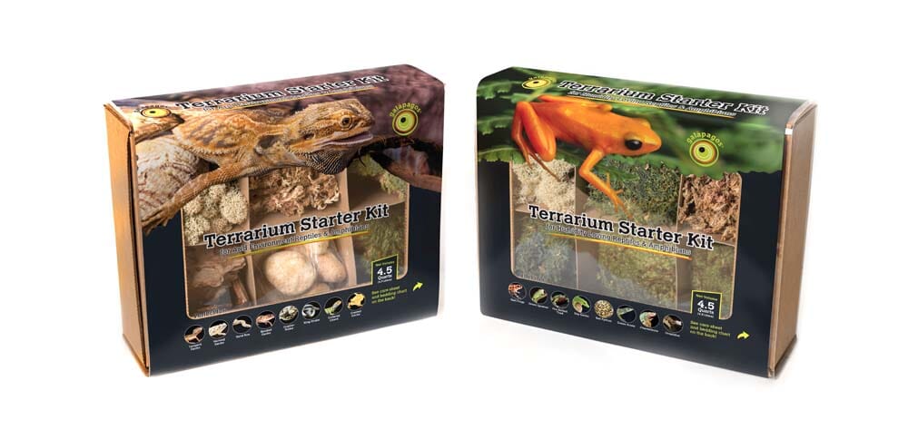 Galapagos Arid Environment Terrarium Starter Kit