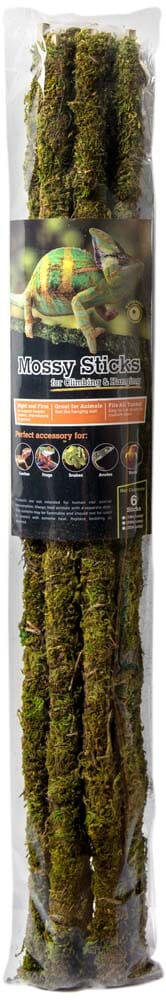 Galapagos Mossy Sticks Terrarium Ornament - Fresh Green - 24 in - 6 Count
