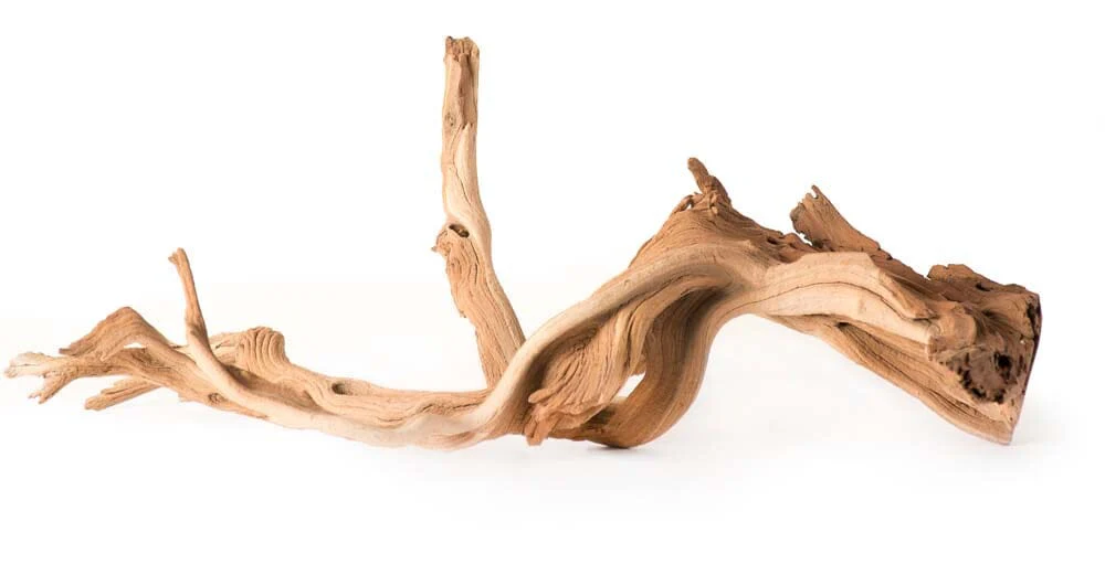 Galapagos Staghorn Wood Manzanita Root - Brown - 13 In - 18 in
