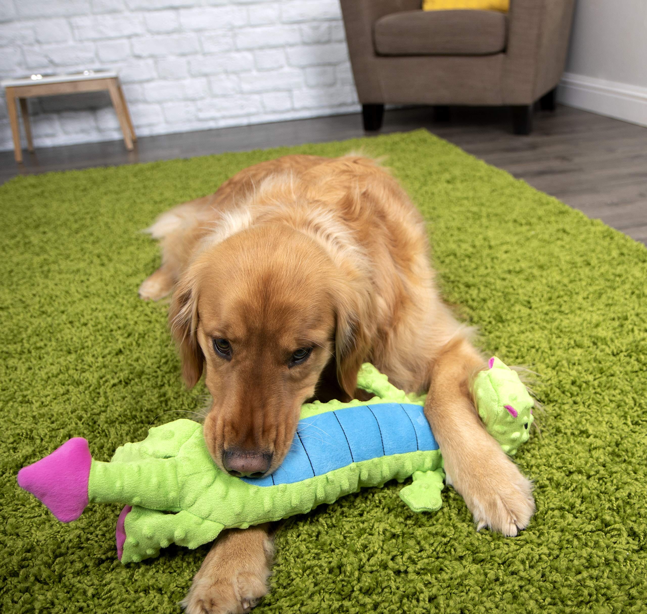 GoDog Dragon Squeak and Plush Dog Toy with Chew-Guard Tech - Green - Small - Image 5