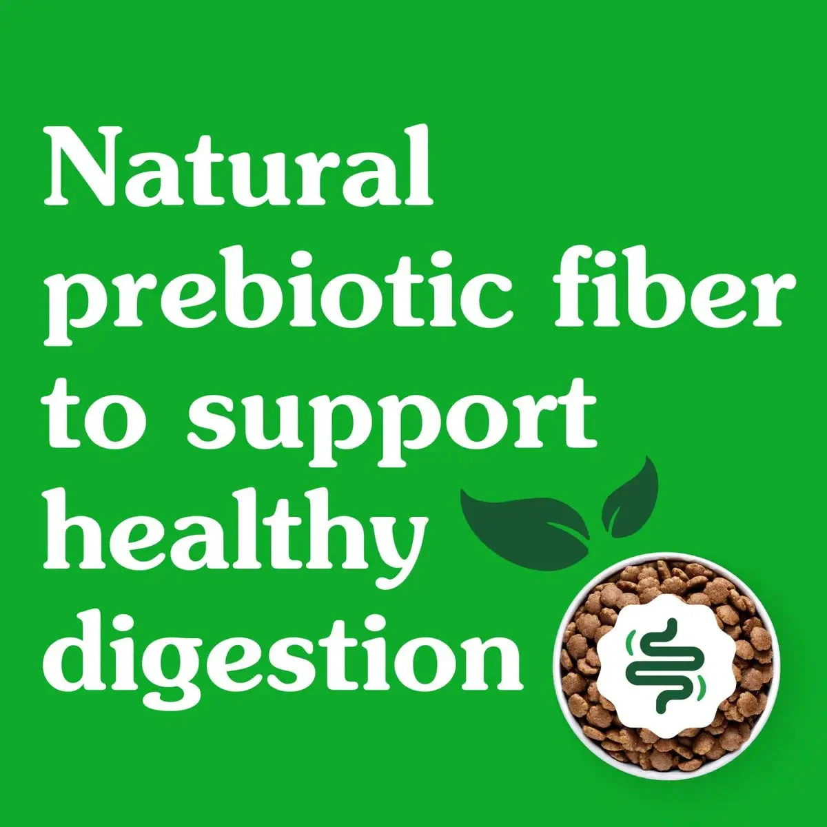 Greenies Smart Essentials High-Protein Chicken and Rice Adult Dry Dog Food - Image 3