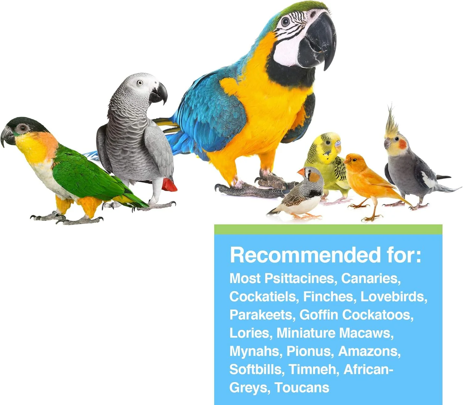 Hagen Hari Prime Vitamin Mineral and Amino Acids Powder Seed Eating Bird Supplements - Image 3