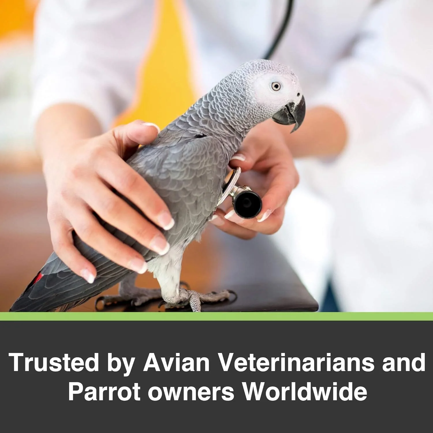Hagen Hari Prime Vitamin Mineral and Amino Acids Powder Seed Eating Bird Supplements - Image 4