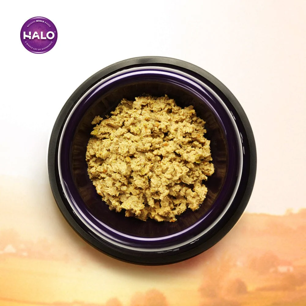 Halo Holistic Garden of Vegan Recipe Canned Dog Food - Image 4