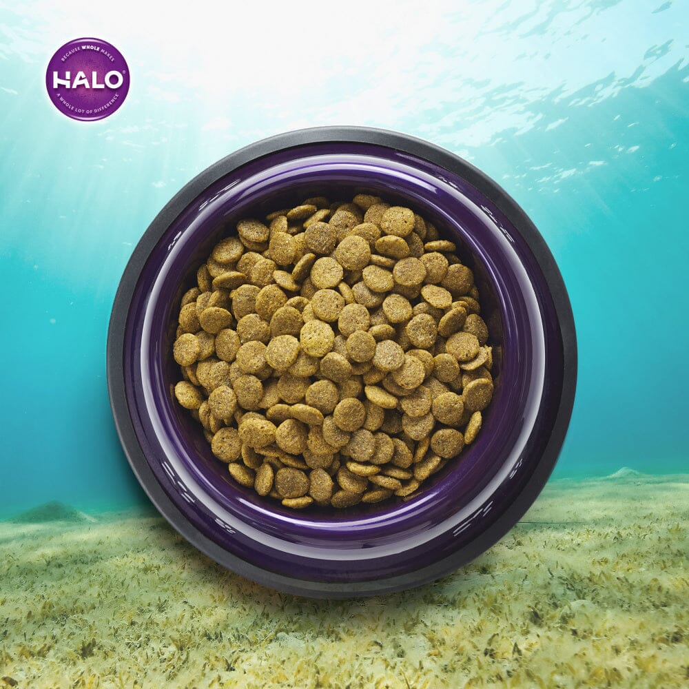 Halo Holistic Ocean of Vegan Recipe Dry Dog Food - Image 3