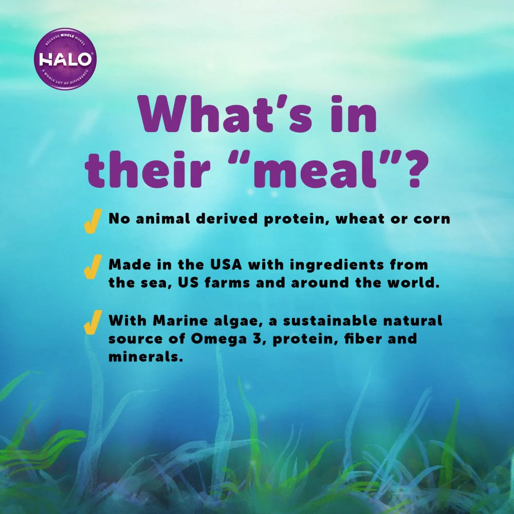 Halo Holistic Ocean of Vegan Recipe Dry Dog Food - Image 7