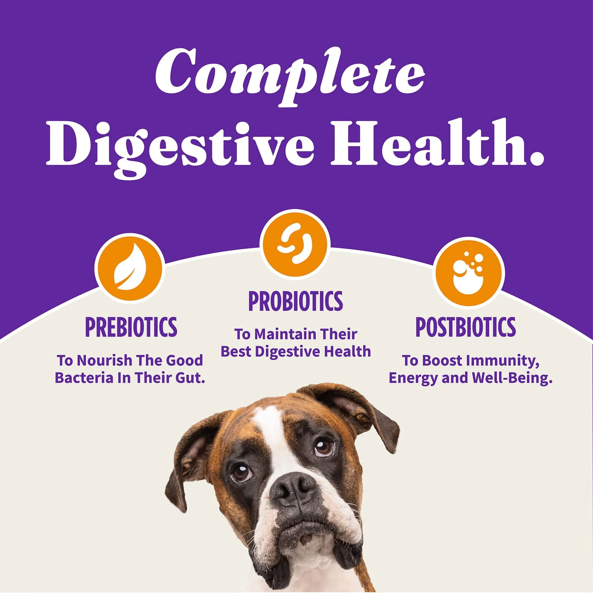 Halo Pets Elevate Grain-Free Chicken Small-Breed Dry Dog Food - 3.5 Lbs - Image 5
