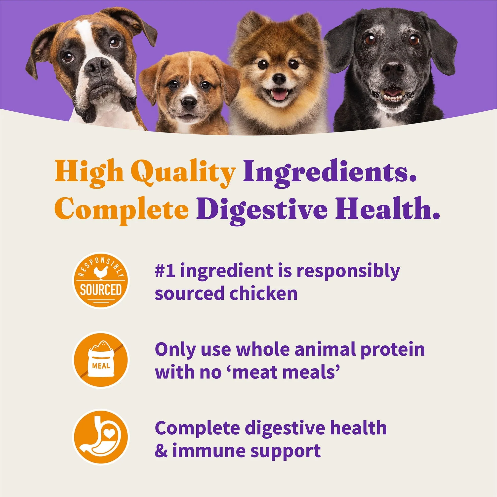 Halo Pets Elevate Healthy Grains Chicken Recipe Large-Breed Dry Dog Food - 20 Lbs - Image 3