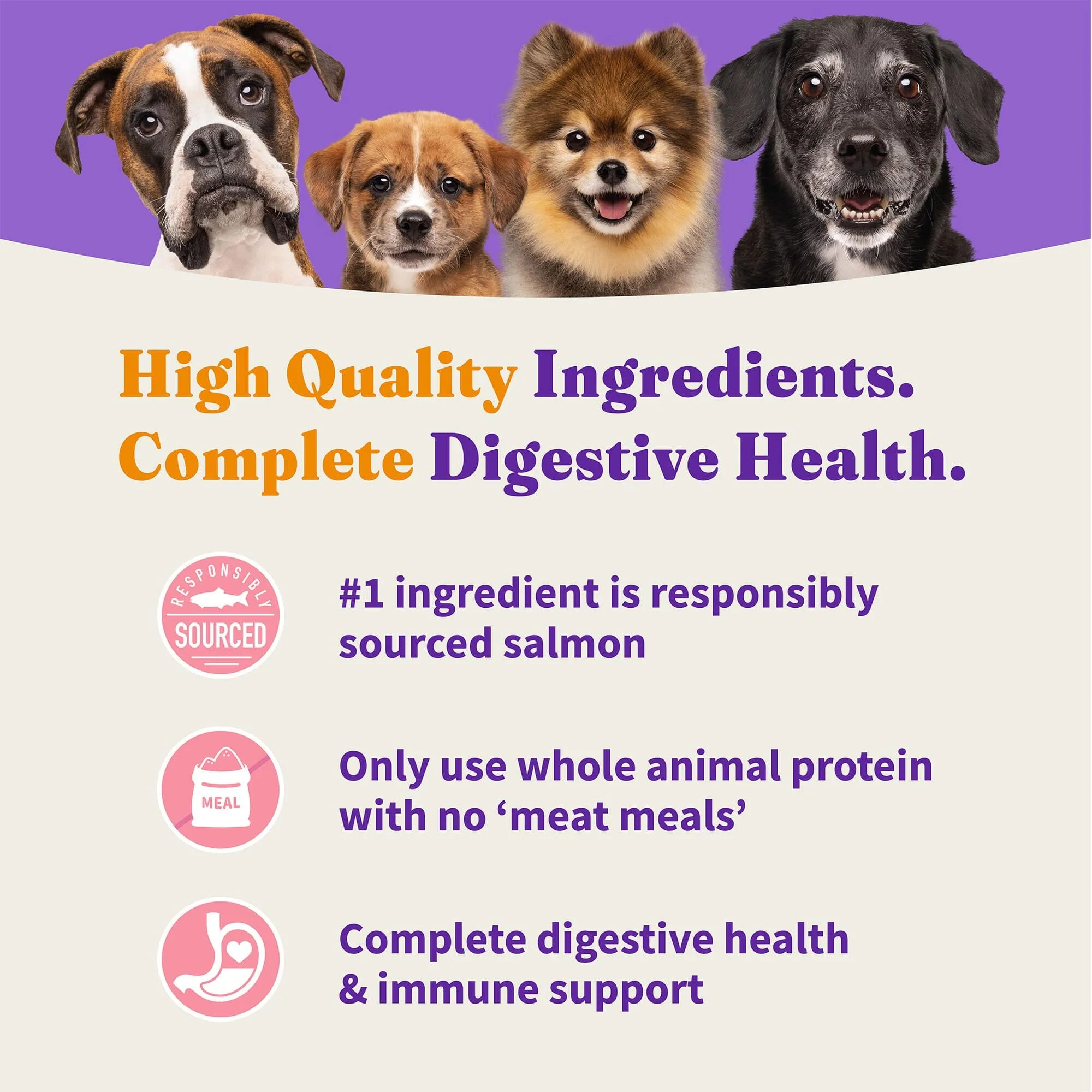Halo Pets Elevate Healthy Grains Salmon Recipe Dry Dog Food - 20 Lbs - Image 5