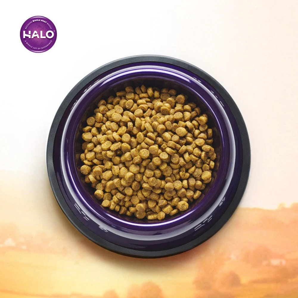 Halo Sensitive Stomach Holistic Seafood Medley Dry Cat Food - Image 9