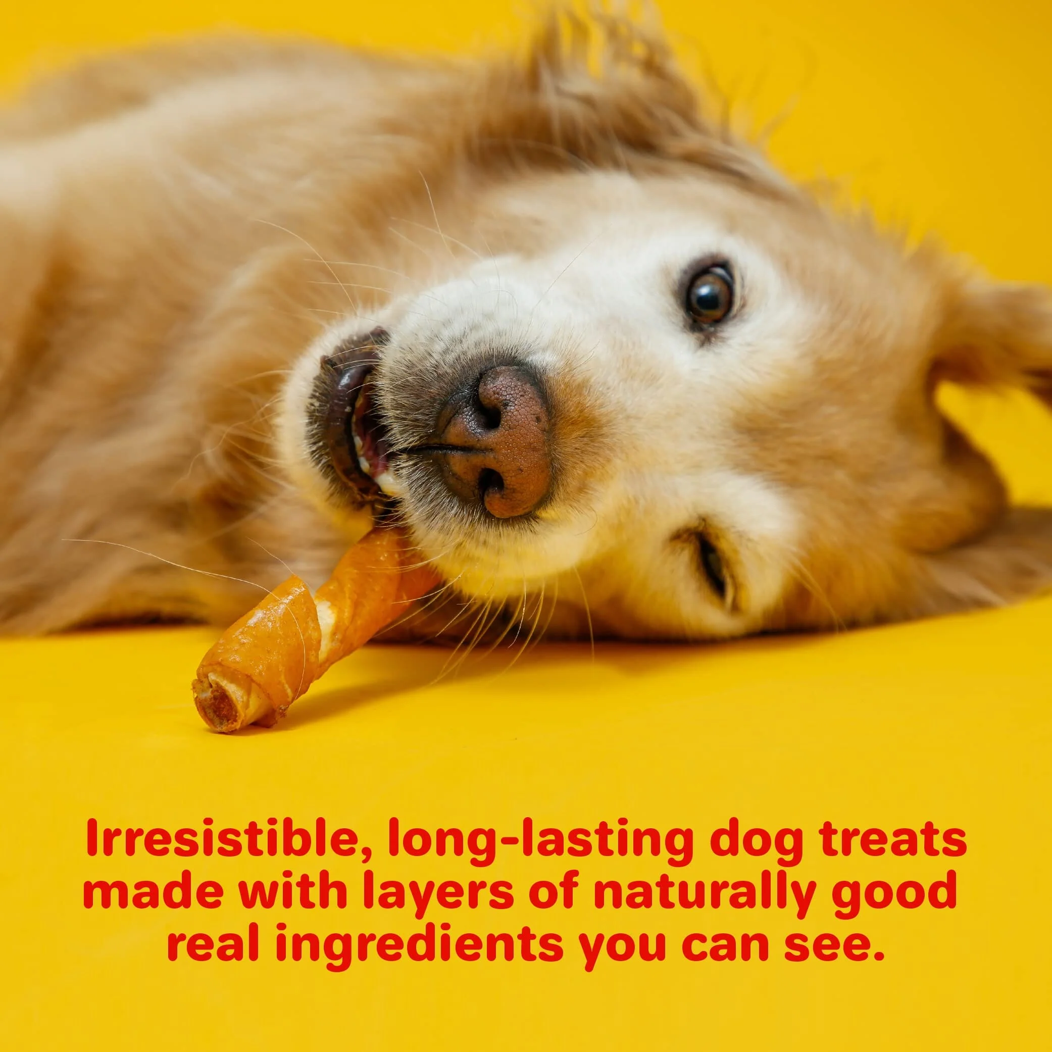 Hartz Mountain Oinkies Rawhide-Free Bacon Wrapped Pork Skin Twists Natural Dog Chews - 8 Pack - Image 8