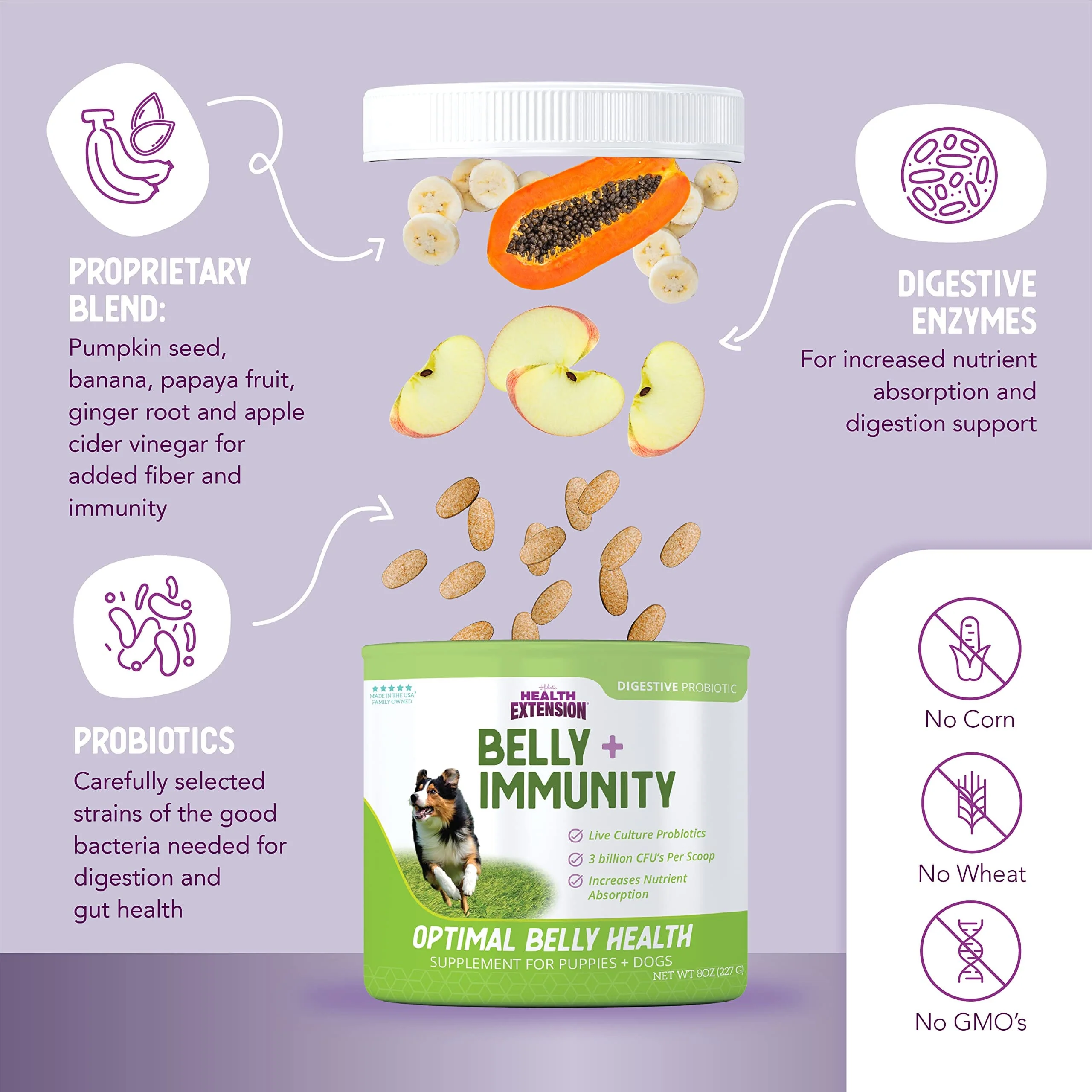 Health Extension Digestive Support Probiotic Powder Puppy Dog Supplement - 16 Oz - Image 4