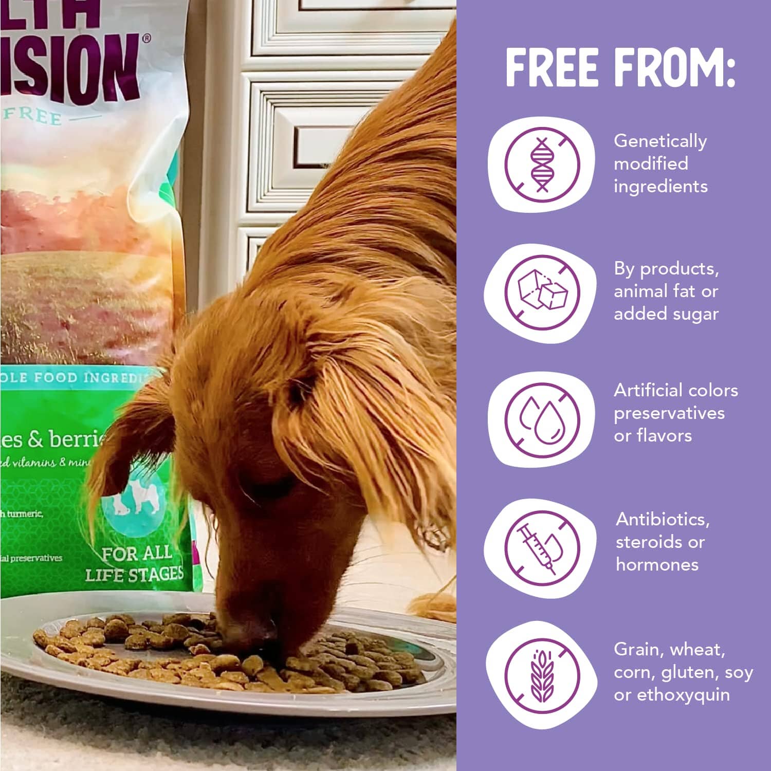 Health Extension Grain-Free Duck Dry Dog Food - 1 Lb - Image 4