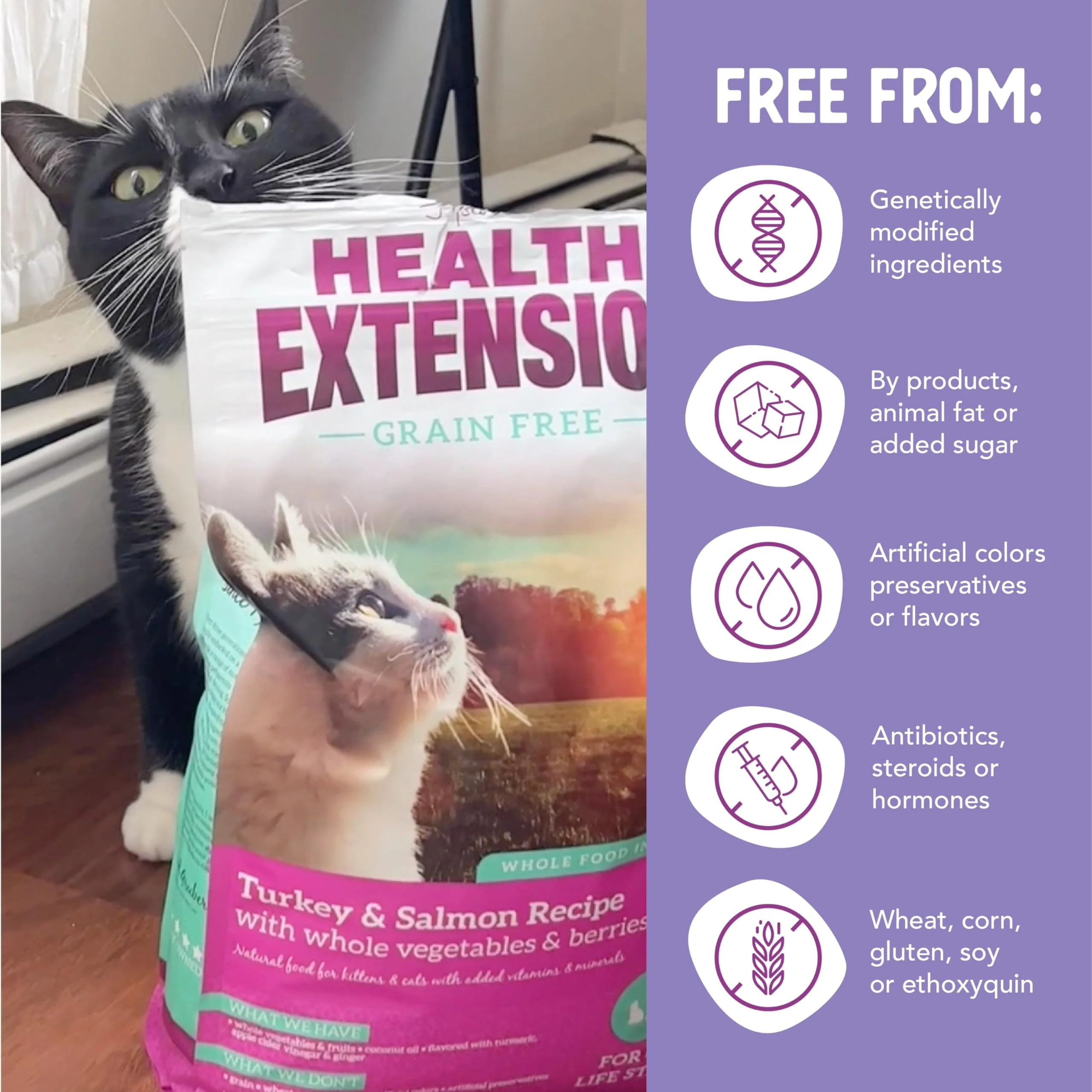 Health Extension Grain-Free Turkey and Salmon Kitten Dry Cat Food - 4 Lbs - Image 4