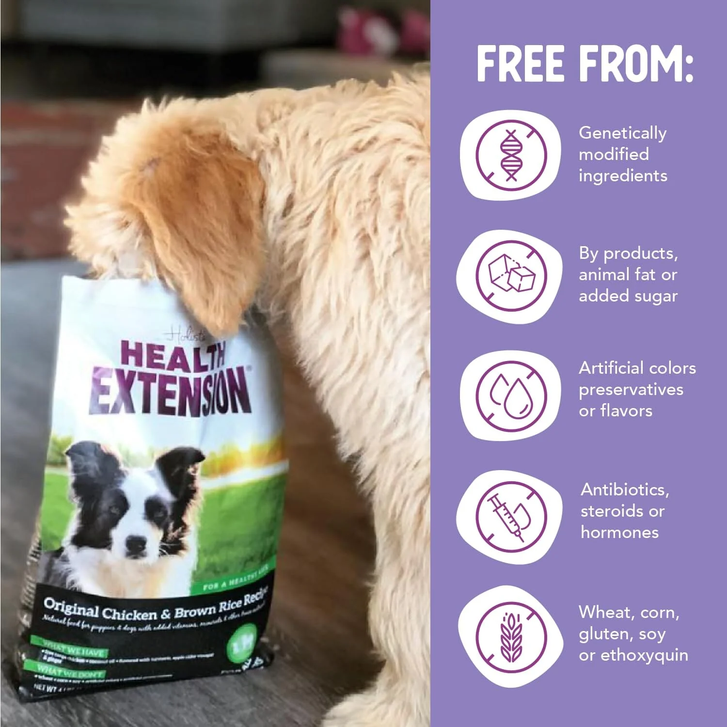 Health Extension Original Chicken and Brown Rice Dry Dog Food - Image 7