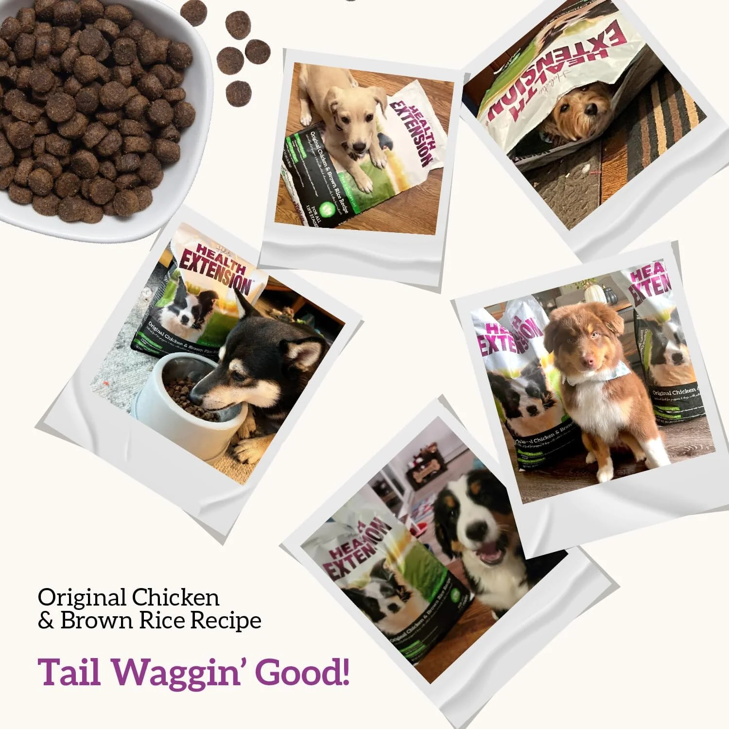 Health Extension Original Chicken and Brown Rice Dry Dog Food - Image 9