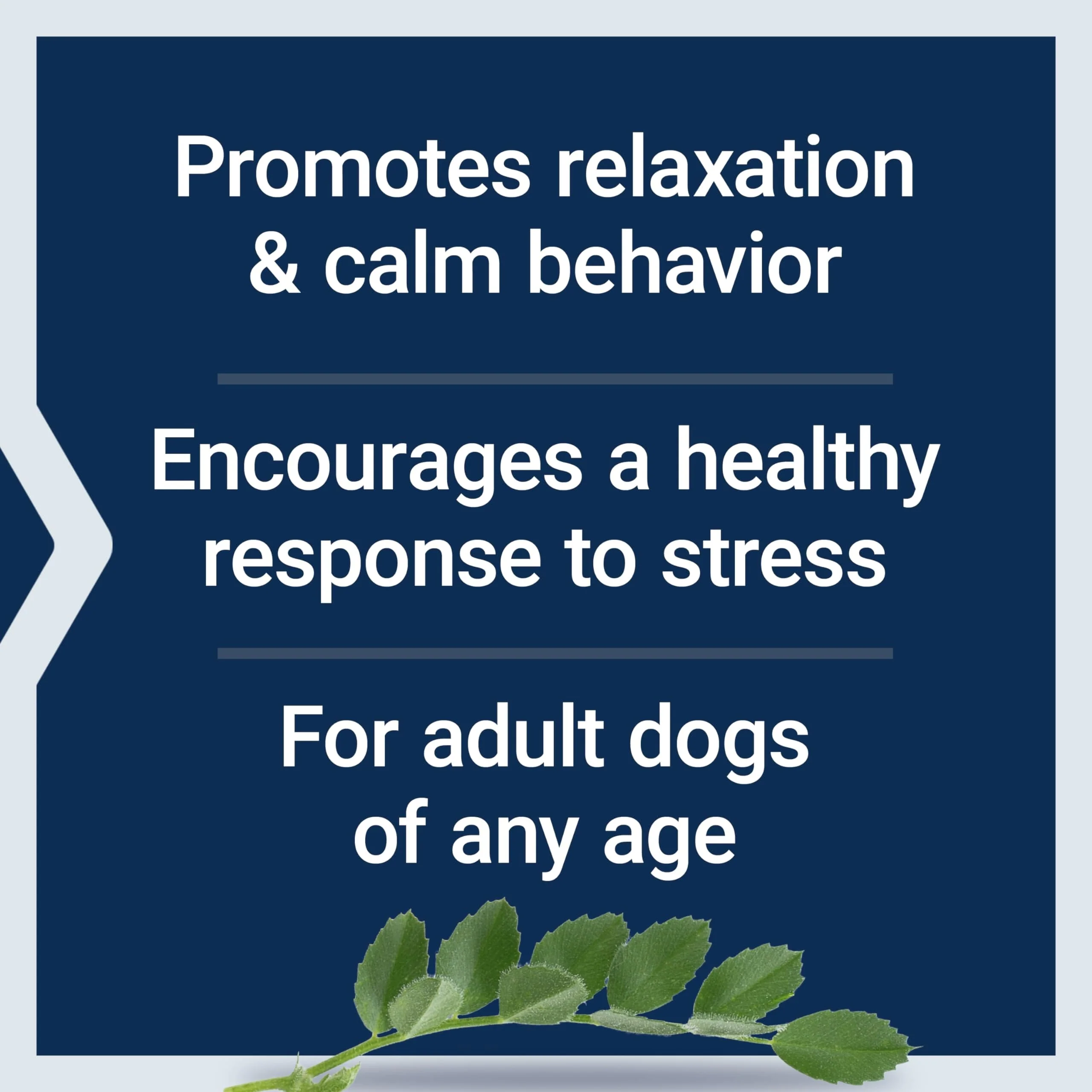 Health Extension Stress Relief Drops for Dogs - 8 Oz - Image 3