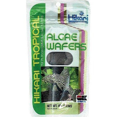 Hikari Algae Wafers - 0.70 oz