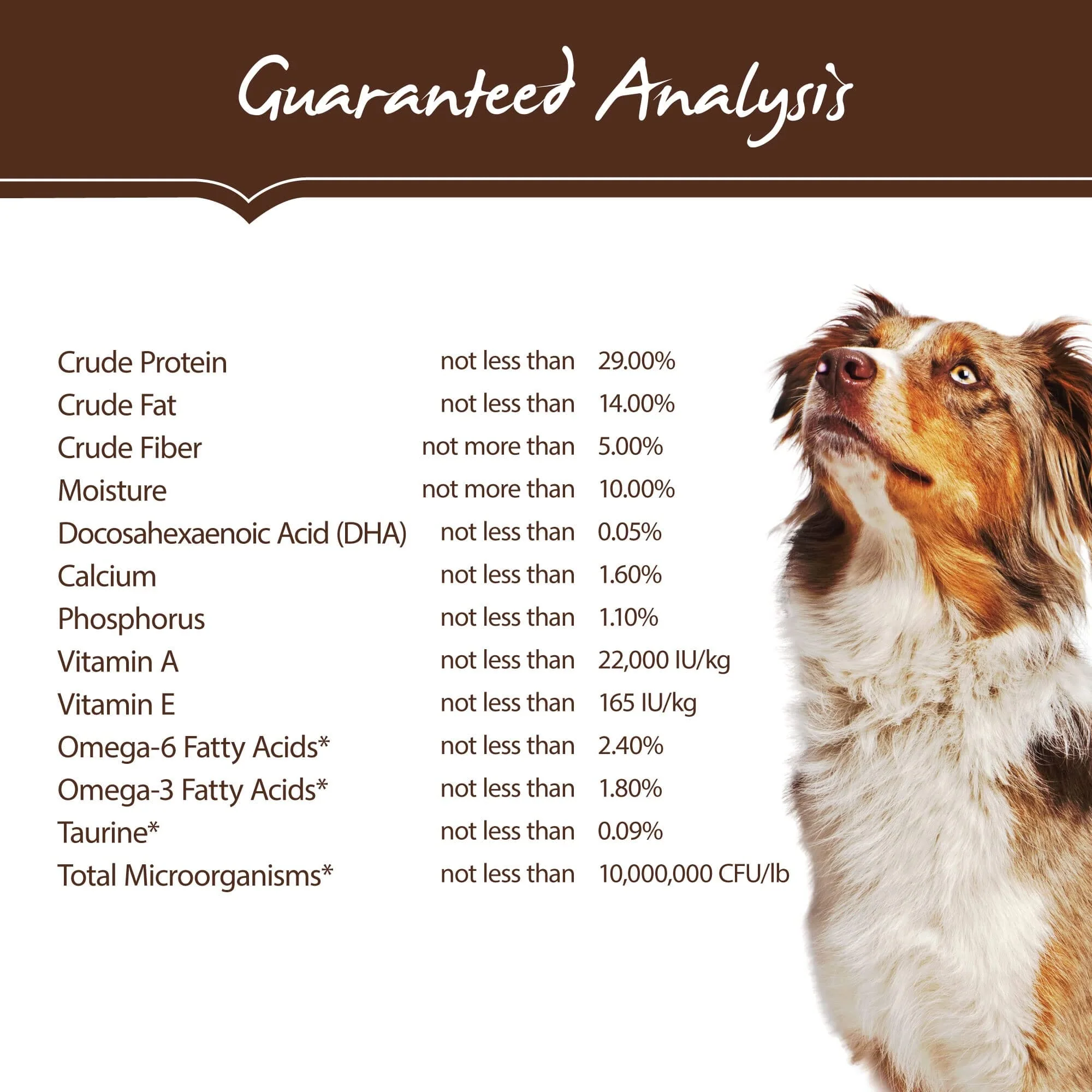 Holistic Select Grain-Free Salmon Anchovy and Sardines Dry Dog Food - 4 Lbs - Image 5