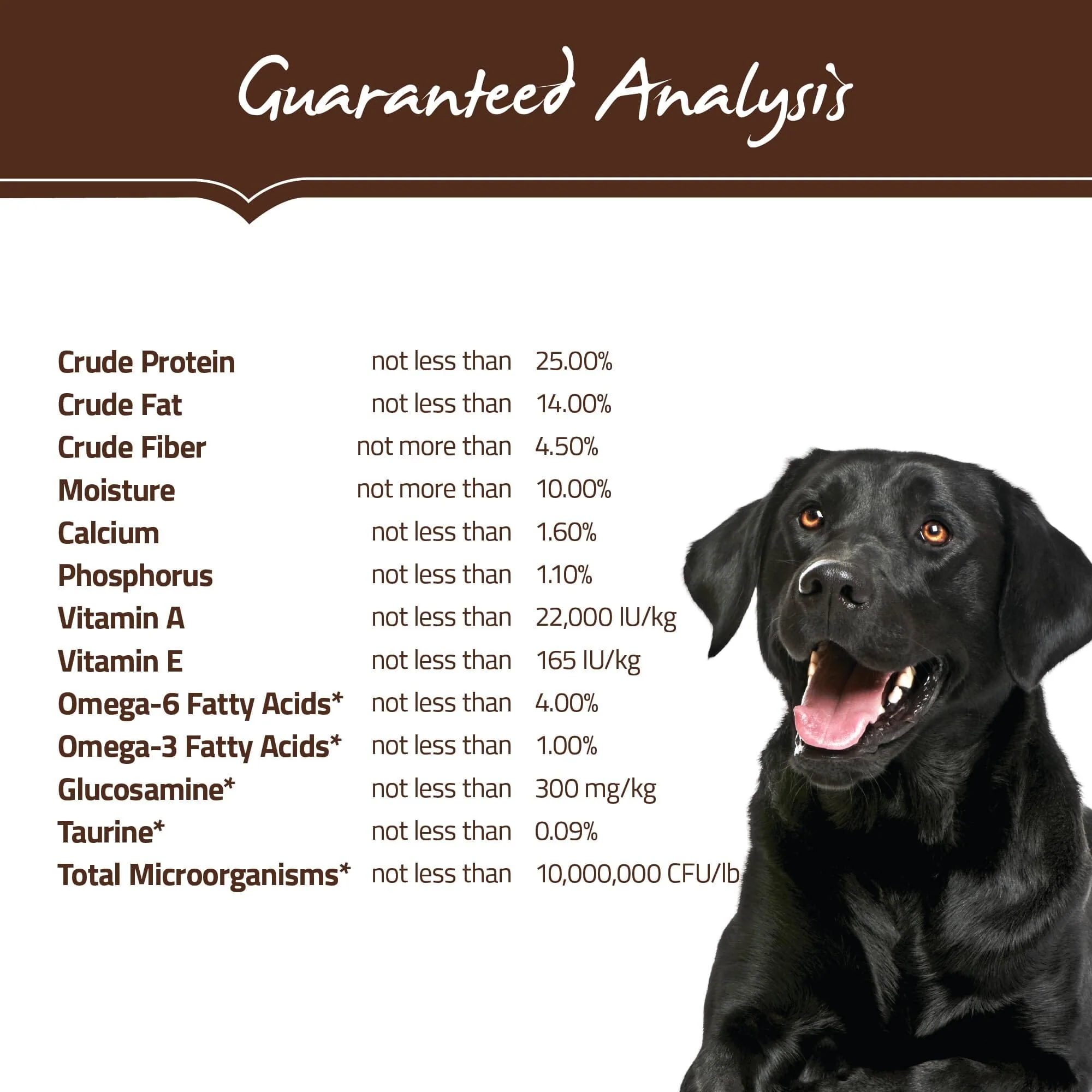 Holistic Select Natural Adult Health Anchovy, Sardine, and Salmon Meal Recipe Dry Dog Food - Image 5