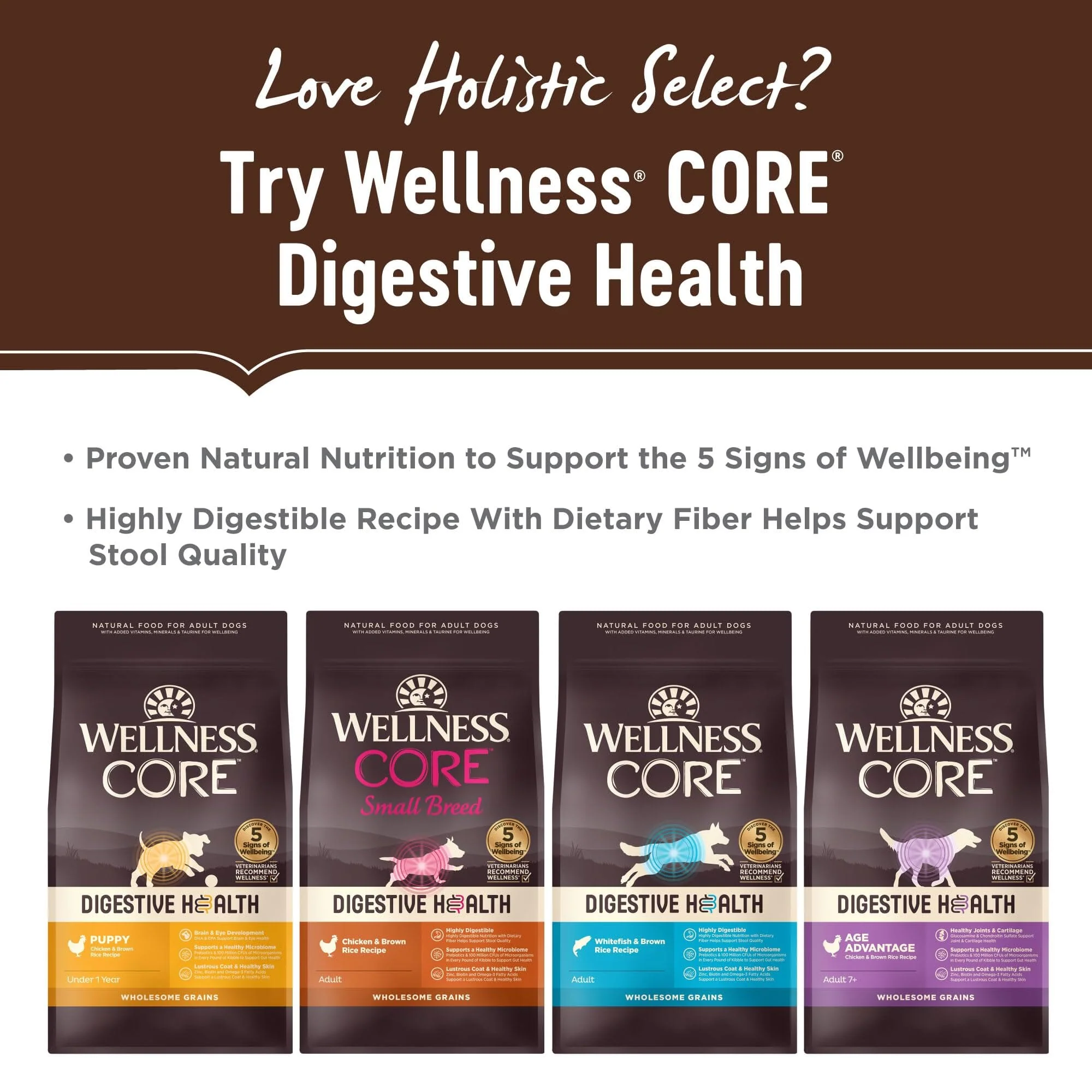 Holistic Select Natural Adult Health Anchovy, Sardine, and Salmon Meal Recipe Dry Dog Food - Image 6